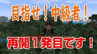 【PS4版マイクラ】中級者を目指し、マイクラ開始です！