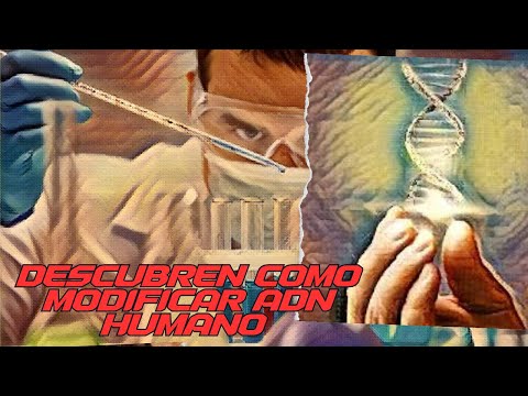 Científicos descubren como modificar y reactivar el ADN