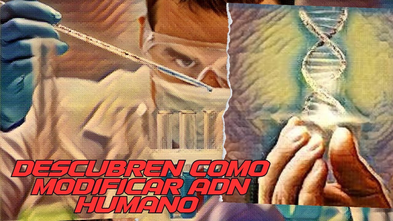 Científicos descubren como modificar y reactivar el ADN