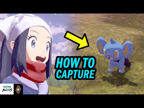 How to catch irate  Pokémon (The Galaxy Team's Entry Trial Story Mission)  | Pokémon Legends Arceus