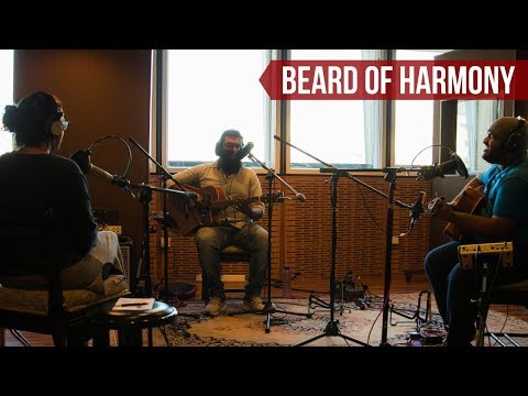 Beard Of Harmony - Perception (Maed in India)