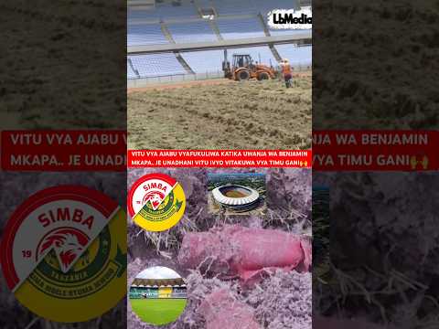 JE UNADHANI NI VYA SIMBA AU YANGA #simbasc #yangasc #wataniwajadi #mkapastadium #football #yt #funny