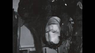 Martyrdöd - Överlevaren