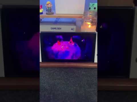 Cult of the Lamb on Nintendo Switch OLED gameplay released today. Also available on PS5, Xbox Serie