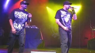 Cypress Hill - Hole In The Head (Live)
