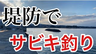【初投稿釣り動画】真冬に堤防でサビキ釣り