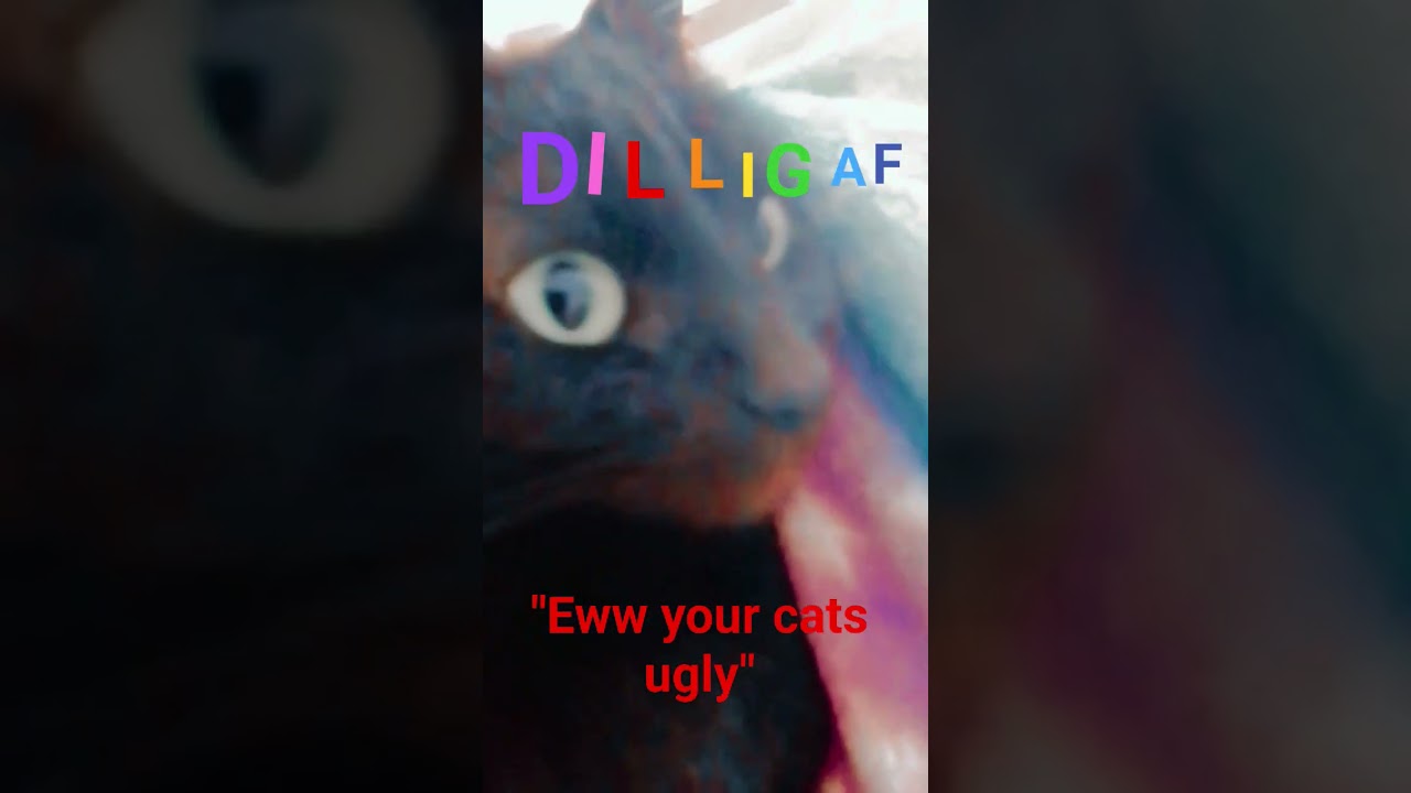 I DON'T CARE #funny #shorts #relatable