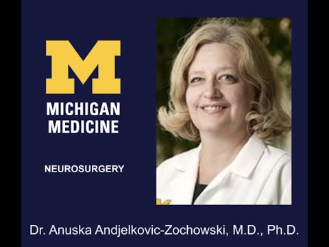 Cavernous Malformation: Solving the Problem of the Leaky Lesion  - Dr. Anuska Andjelkovic-Zochowski