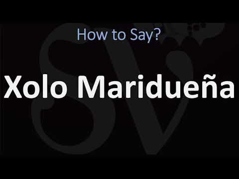 How to Pronounce Xolo Maridueña? (CORRECTLY)