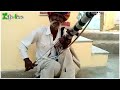 Gadar Ek Prem Katha Folk Music Instrumental Music Rajasthani Talented My Ringtone Site