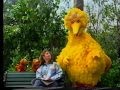 Sesame Street Joey Davey Look For A Job