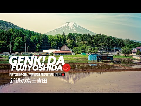 ［広報ふじよしだ］元気だ！ふじよしだ 2025年6月号　明見地区の新緑　#富士山 #富士吉田 #新緑 #広報