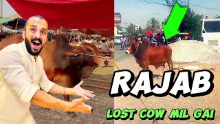 Download lagu Rajab lost cow | Good news Rajab's Cow fund mp3