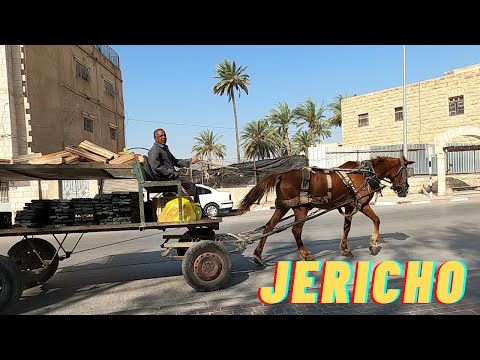 JERICHO CITY OF PALMS & Jericho Gate Projeto nova cidade dentro da cidade