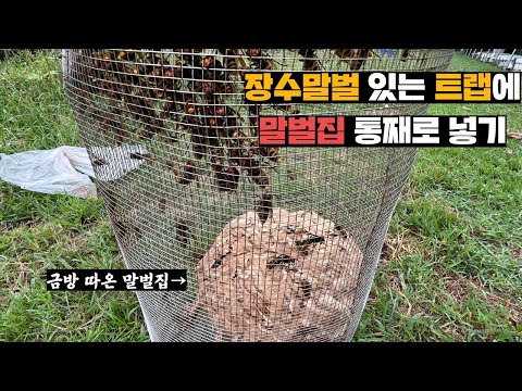 아이콘