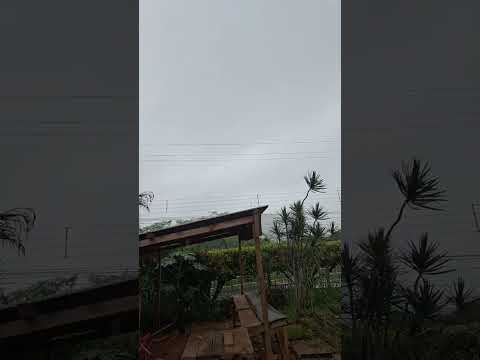 chuva em Santana do Ipanema AL dia 08 05/2024
