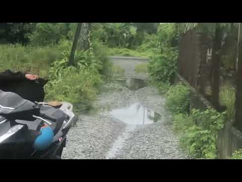  114m2 - video