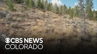 Colorado's Summit County and surrounding Dillon Ranger District entering stage one fire restrictions