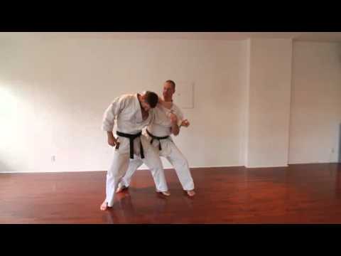 Taikyoku Mawashi Uke application 1