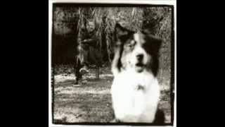 Bill Frisell - The Pioneers