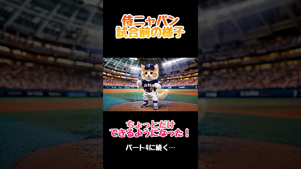 侍ニャパンの試合前の様子…パート4 #癒し #猫のいる暮らし #ねこ #wbc #大谷翔平