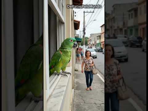O PAPAGAIO MAIS PERIGOSO DO BAIRRO! 🚨😂
