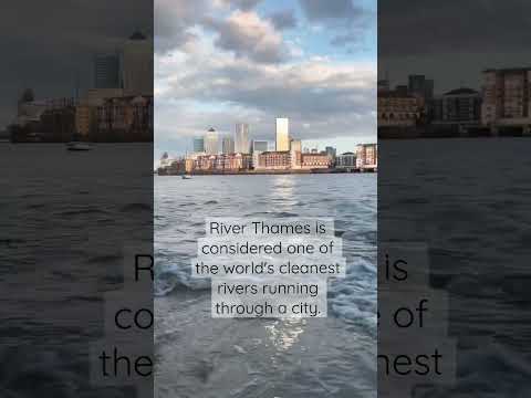 Thames - World’s Cleanest River