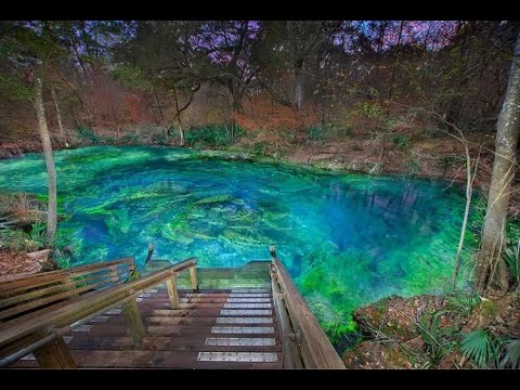 2021 / 2022 Cave Diving Trip Update