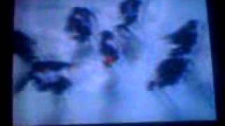 Download lagu iklan sosis so nice mp3