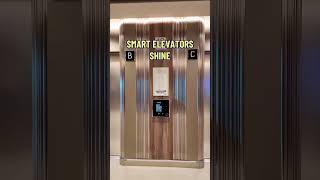 Here's where Sun Princess shines....and falls short! #sunprincess #shorts #princesscruises