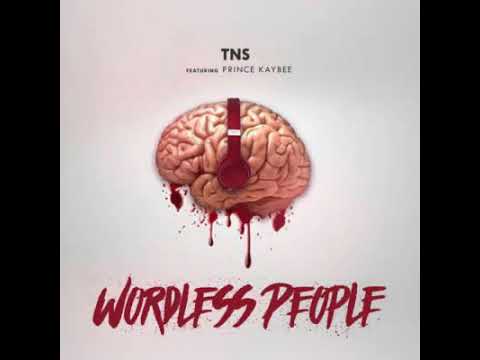 TNS-Wordless People ft Prince Kaybee (Official Audio)