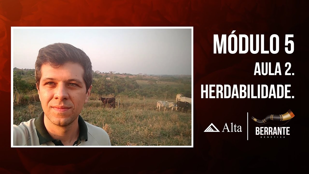 O que é Herdabilidade - Berrante Genética