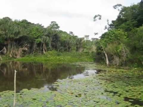 ARNOH - lagoa nascente do rio açailândia