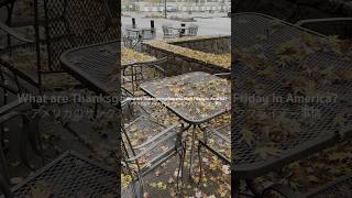 アメリカのThanksgiving DayとBlack Friday事情🇺🇸【ポートランド駐在妻vlog】 #ポートランド駐在妻 #アメリカ生活 #thanksgiving #ブラックフライデー