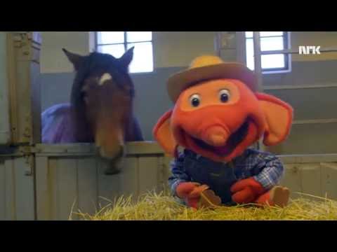 Fantorangen - Fola fola Blakken