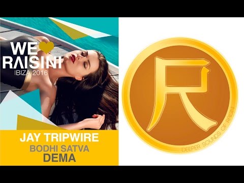Jay Tripwire feat Bodhi Satva - Dema (Lars Behrenroth Remix)