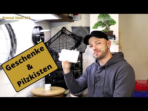 Ein Pilz für jeden, oder Schokolade - Bonsai Haul $13