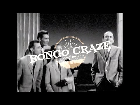 Minimatic - Bongo Craze (Official Video)
