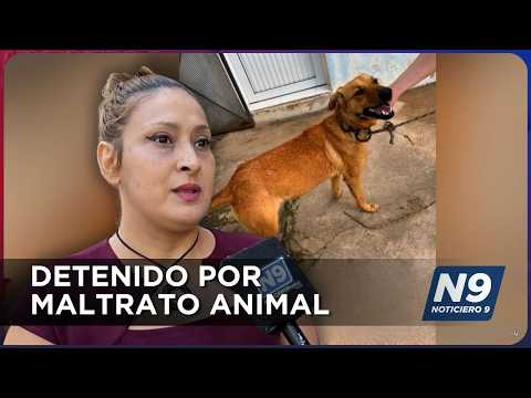 Detenido Por Maltrato Animal