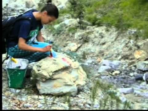 Intervento di Alessio Codermazzi - SentieriNatura 2010 - 17