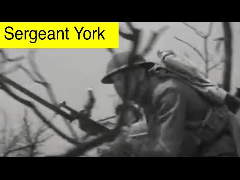 Sergeant York Modern Trailer