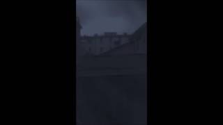 Queen Lizard - &quot;Flood day 10.11.14&quot;