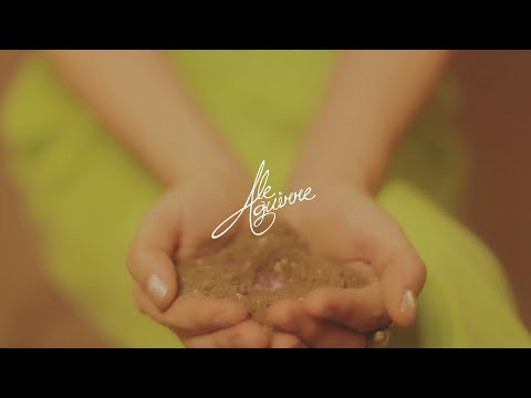 Ale Aguirre - Florecer (Lyric Video)