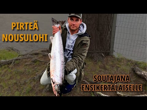 Tornionjoki Lohi: Alkukauden kaunis ja terhakka kala