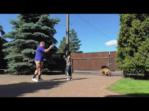 Trening 2019 Tak się boksuje