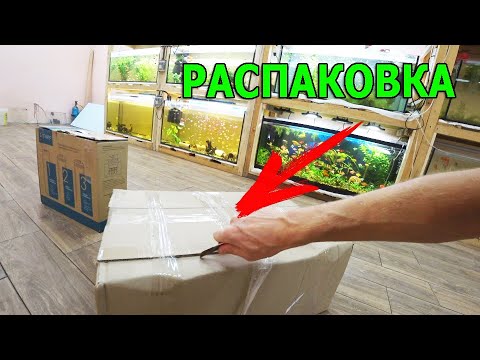 Крутой аквариумист. Пираньи & ко (деагостини). Рыба распаковка. Рыба распаковка. Распаковка рыб из кб.