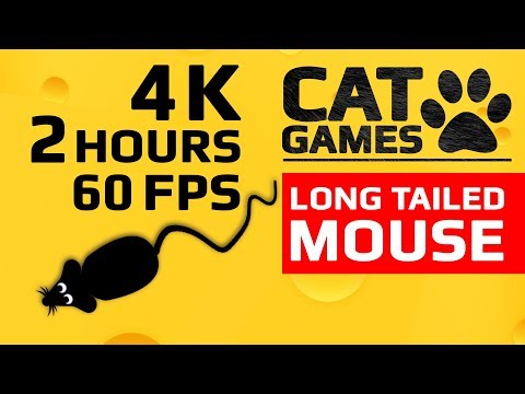 CAT GAMES - 🐭 LONG TAILED MOUSE (ENTERTAINMENT VIDEO FOR CATS TO WATCH) 4K 60FPS 2 HOURS