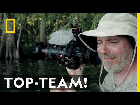 Das ist ein ganz besonders Team! | Die letzten Giganten: Riesenfische