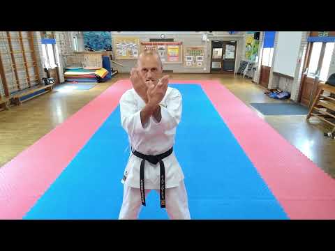 Unshu Shitoryu Shukokai Karate Kata step by step