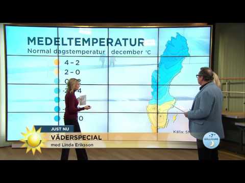 Väderspecial: "Ska det vara så här varmt i december?" - Nyhetsmorgon (TV4)